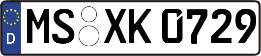 MS-XK0729
