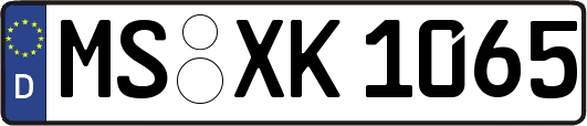 MS-XK1065