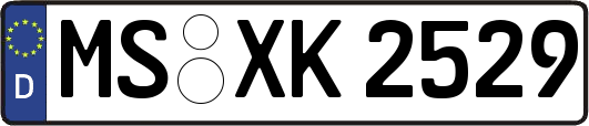 MS-XK2529