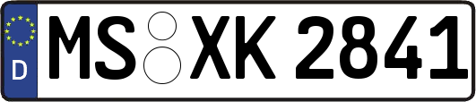 MS-XK2841