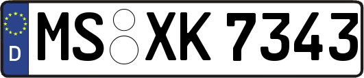 MS-XK7343