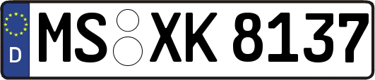MS-XK8137