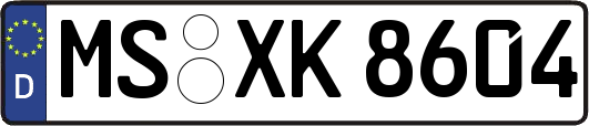 MS-XK8604