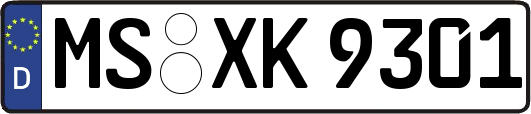 MS-XK9301