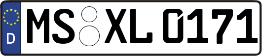 MS-XL0171