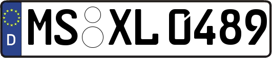 MS-XL0489