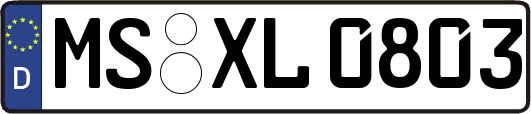 MS-XL0803