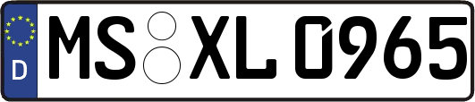 MS-XL0965