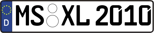 MS-XL2010