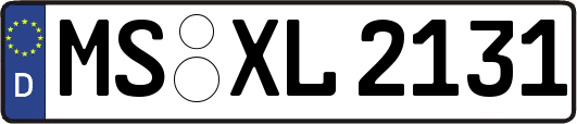 MS-XL2131