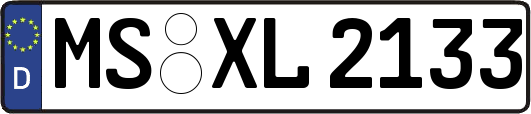 MS-XL2133