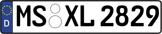 MS-XL2829