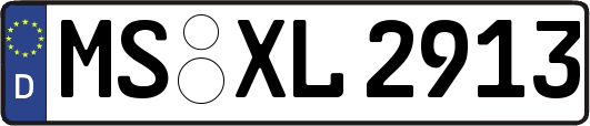 MS-XL2913