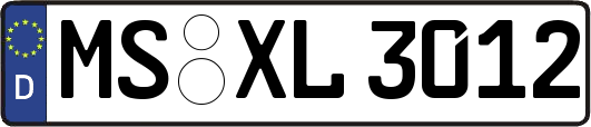 MS-XL3012