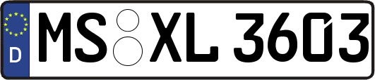 MS-XL3603