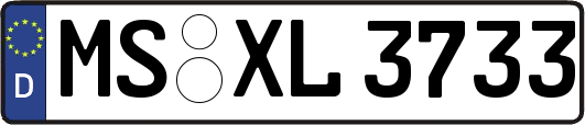 MS-XL3733