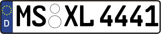 MS-XL4441
