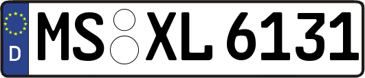 MS-XL6131