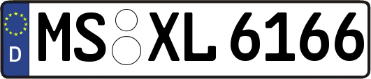 MS-XL6166