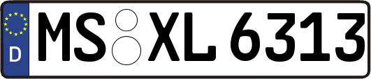 MS-XL6313