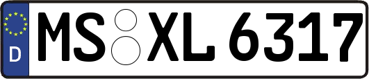 MS-XL6317