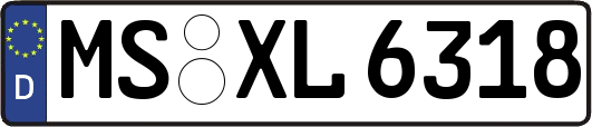 MS-XL6318