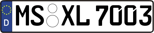 MS-XL7003