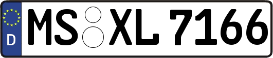 MS-XL7166