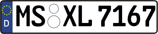 MS-XL7167