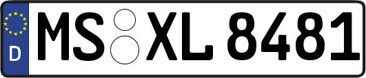 MS-XL8481