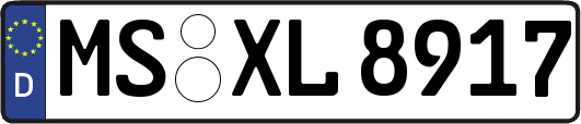 MS-XL8917