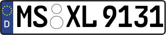 MS-XL9131