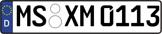 MS-XM0113