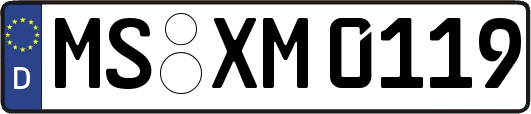 MS-XM0119