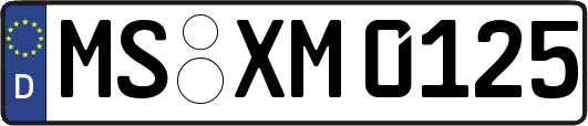MS-XM0125