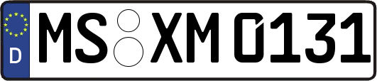 MS-XM0131