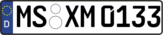 MS-XM0133