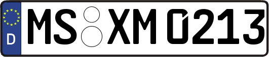 MS-XM0213