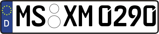 MS-XM0290