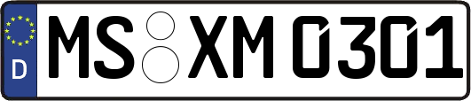 MS-XM0301