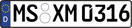 MS-XM0316