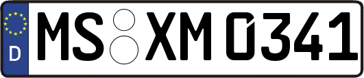 MS-XM0341