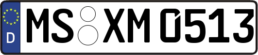 MS-XM0513