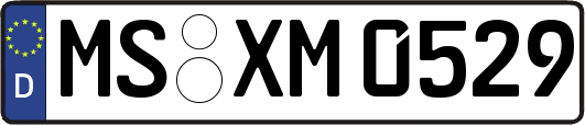 MS-XM0529
