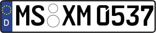MS-XM0537