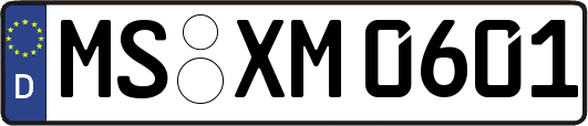 MS-XM0601