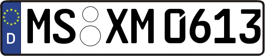 MS-XM0613