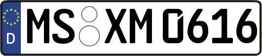 MS-XM0616