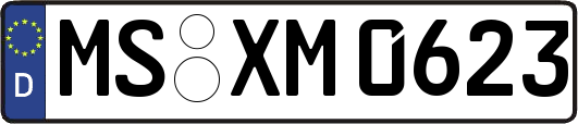 MS-XM0623