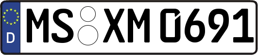 MS-XM0691